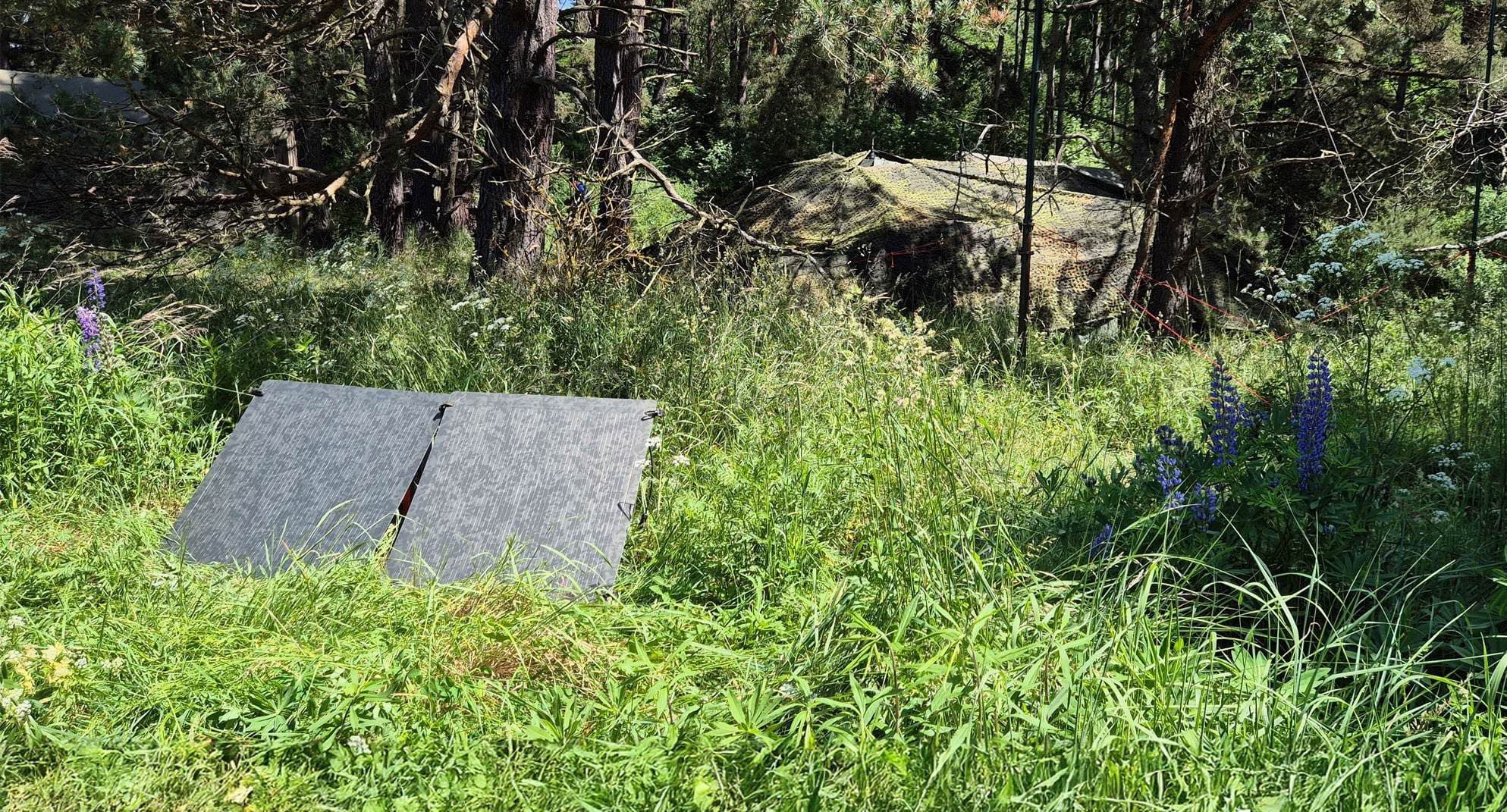 Abgesetzt aufgestellte SOLAR-SHIELD-Module im Waldrand