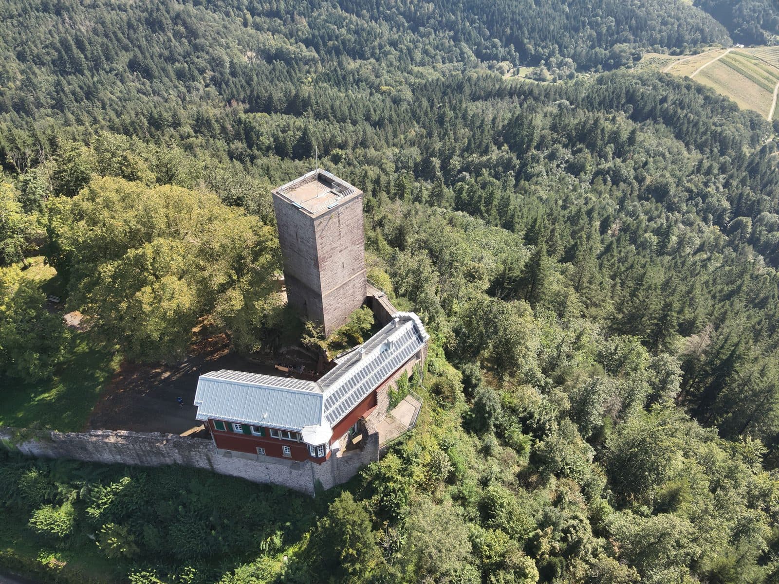 Burgruine Yburg – Bild 4